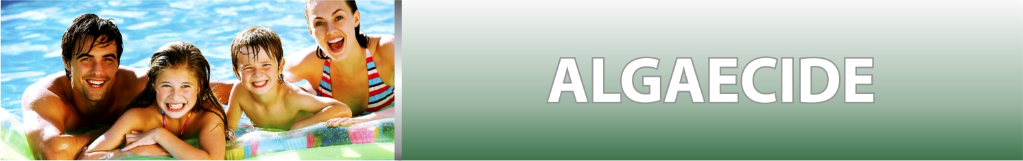Algaecide pool product category